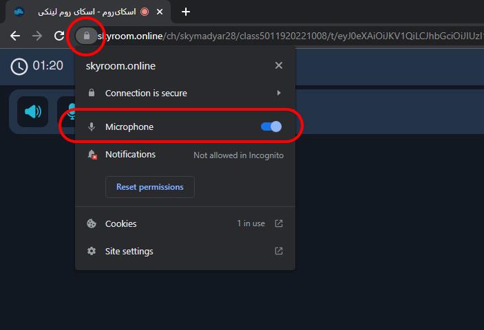 اجازه دادن میکروفن اسکای روم